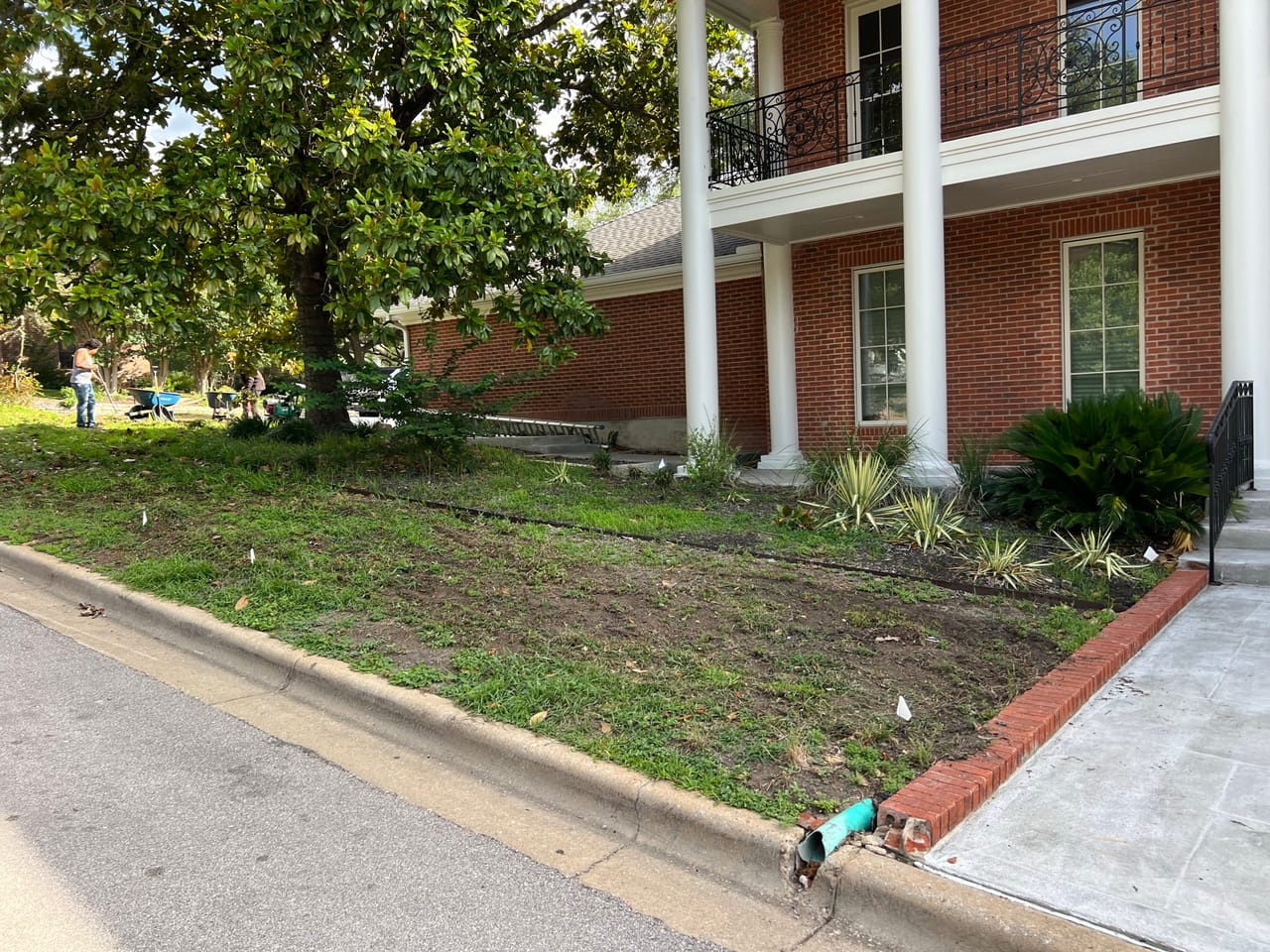 New planting bed installed along a sidewalk at a brick building in Buda, TX