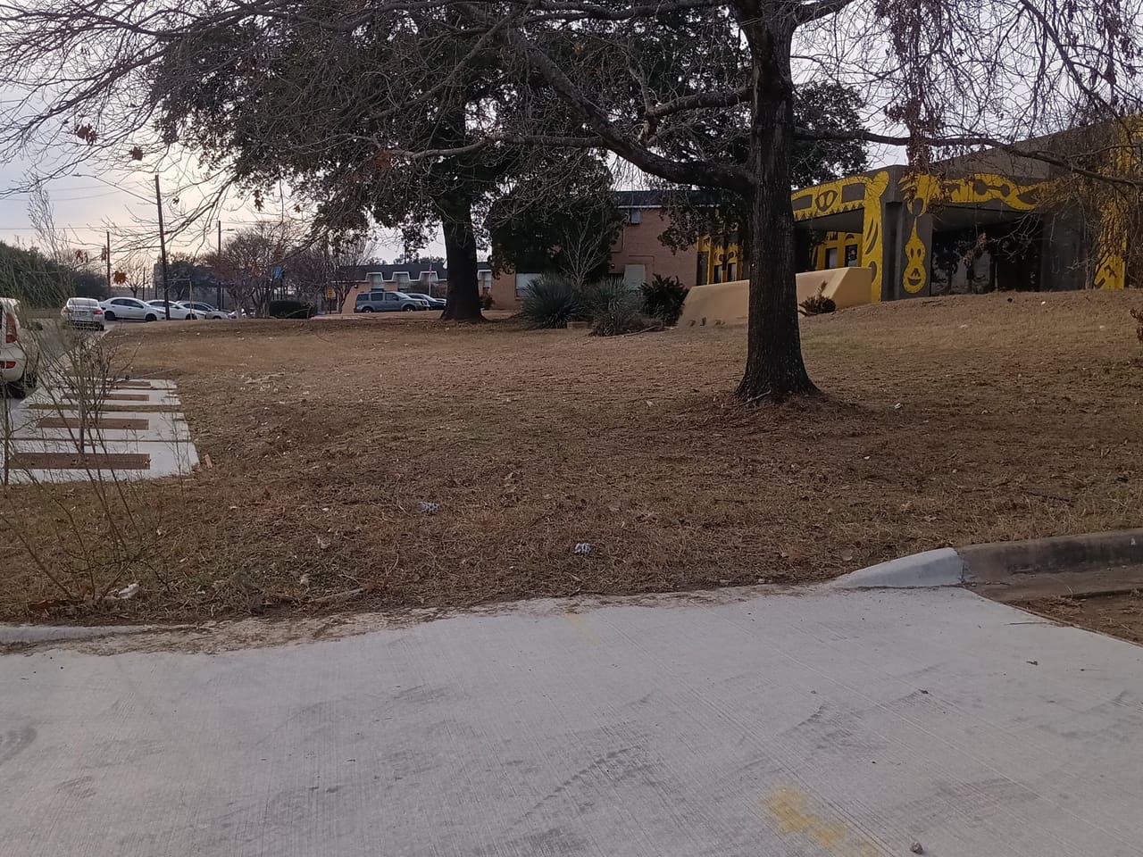 Open park lawn with large mature oak and concrete sidewalk in winter in Kyle, TX