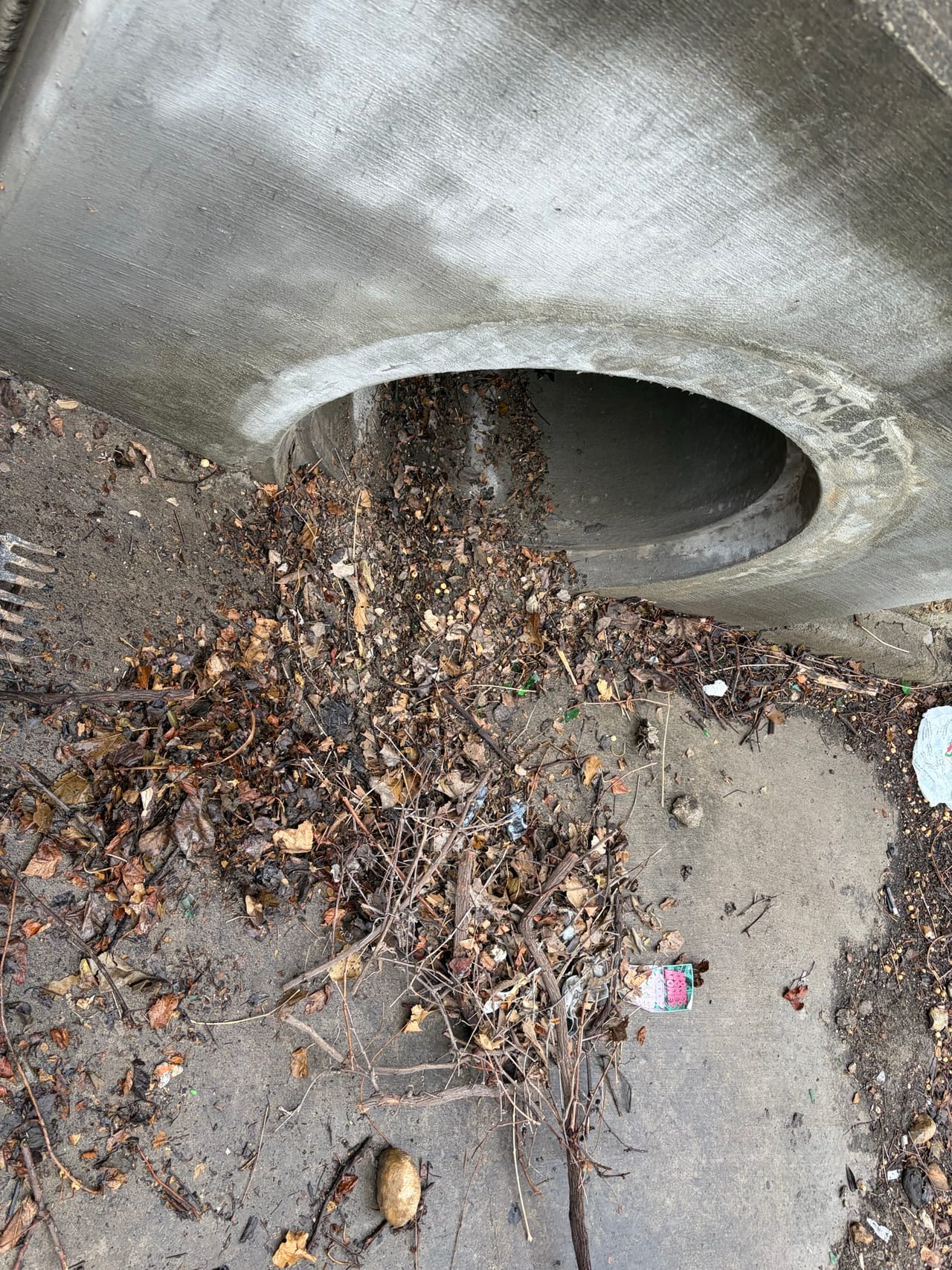 Concrete culvert outlet with a raked pile of leaves and sticks in Cibolo, TX