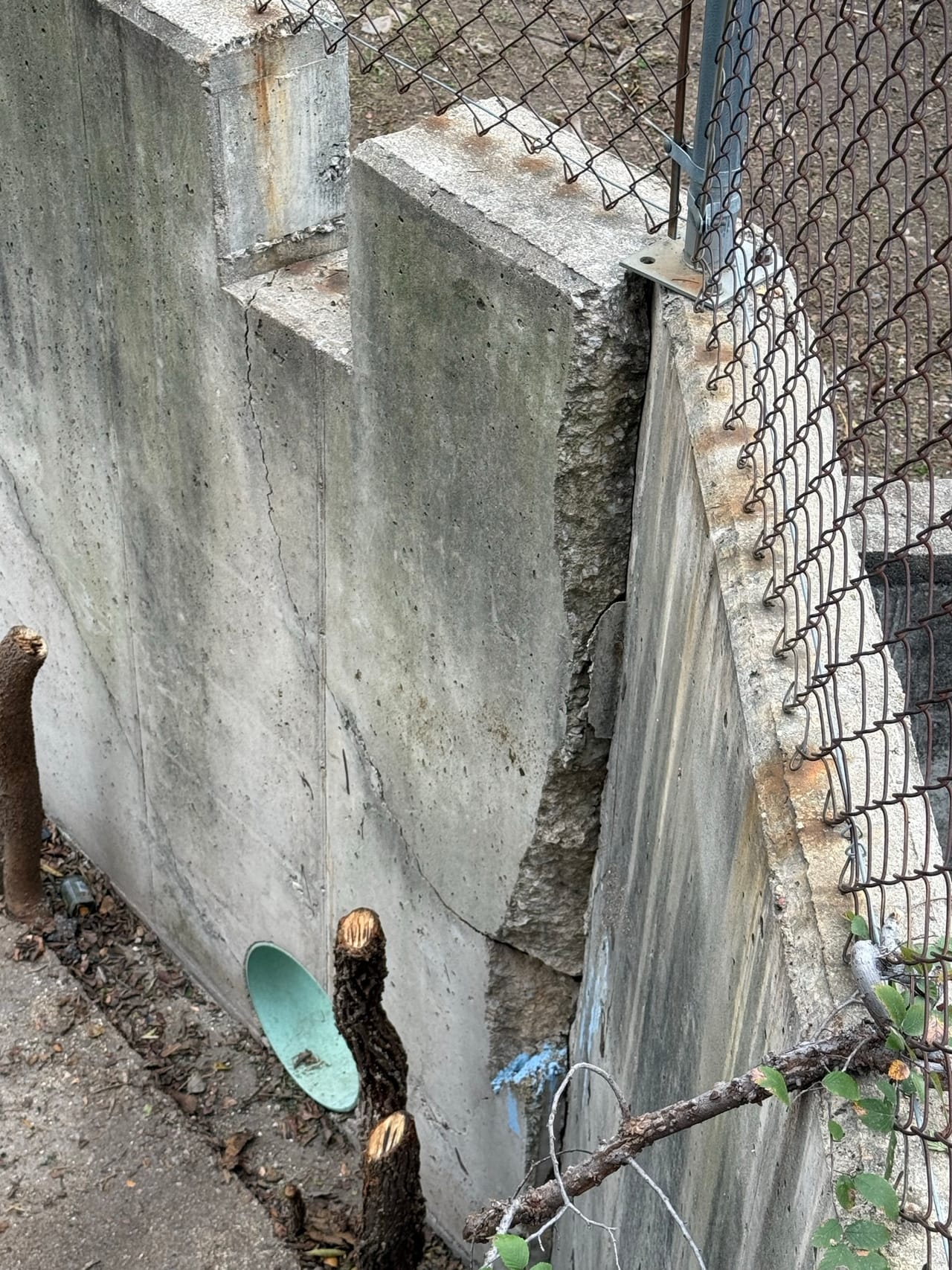 Cut logs and branches sitting in a concrete drainage flume in Central Texas