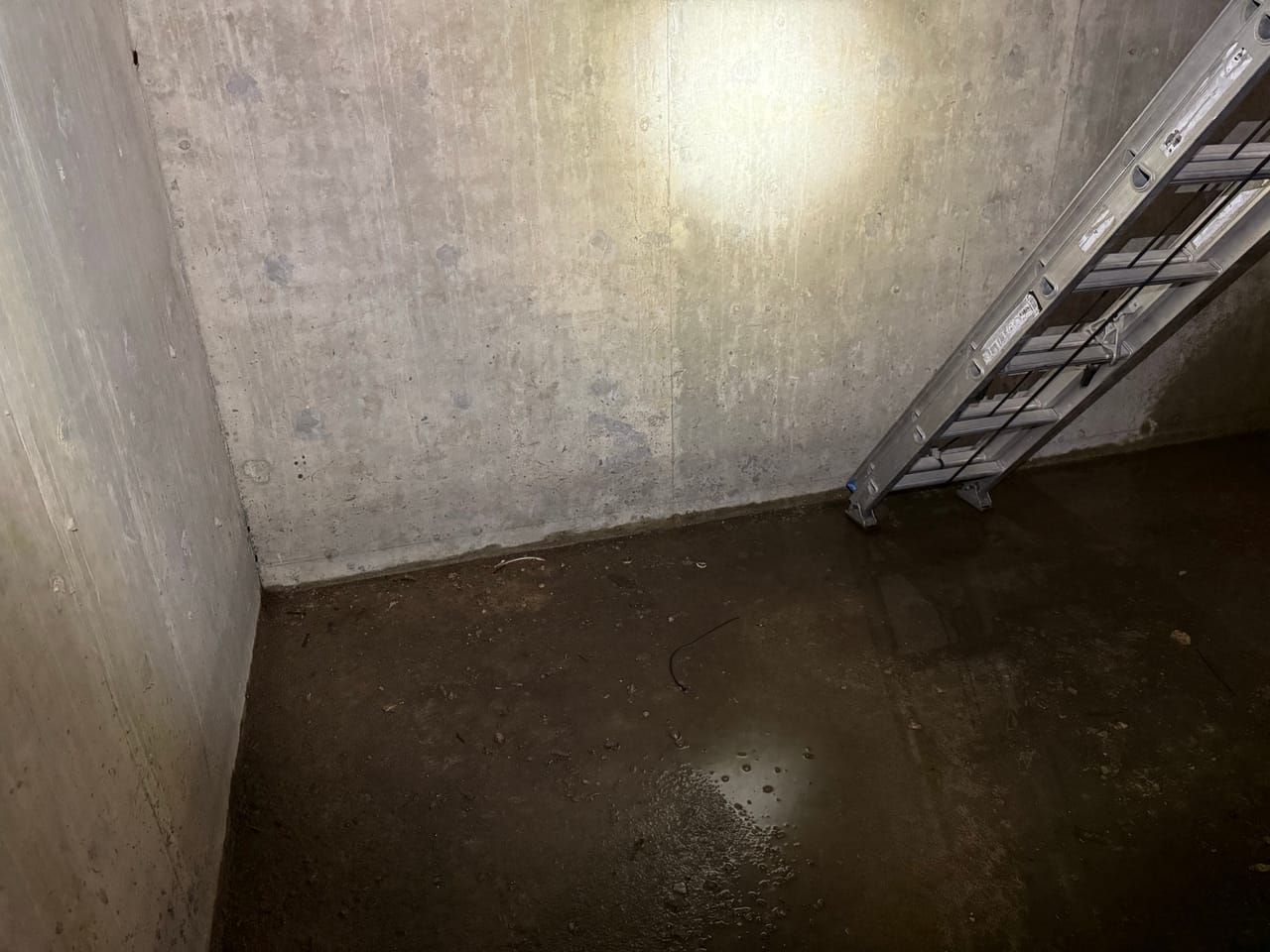 Inside a concrete stormwater vault with a ladder leaning against the wall in Taylor, TX