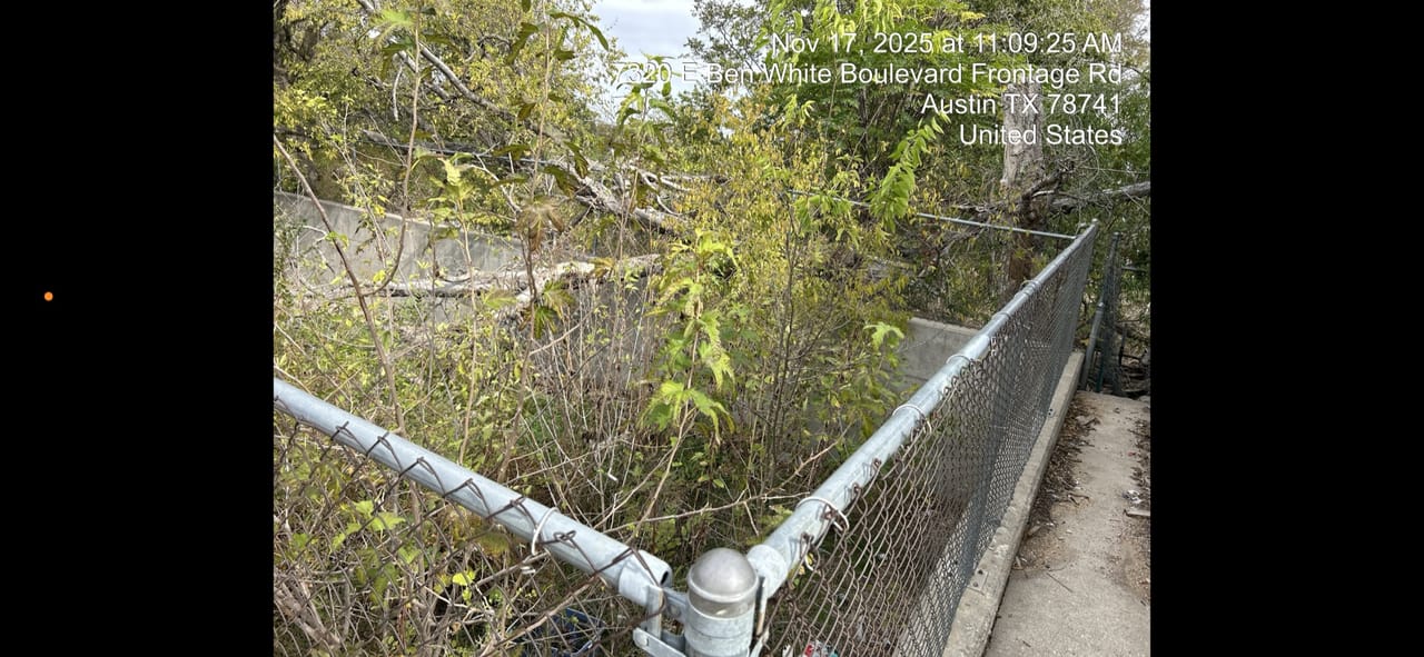 Overgrown concrete drainage channel choked with brush behind chain link fence in Austin, TX