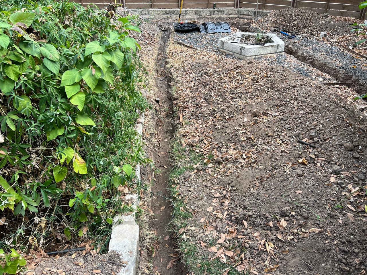 Trench cut through a dirt bed along a fence covered in vines in Taylor, TX