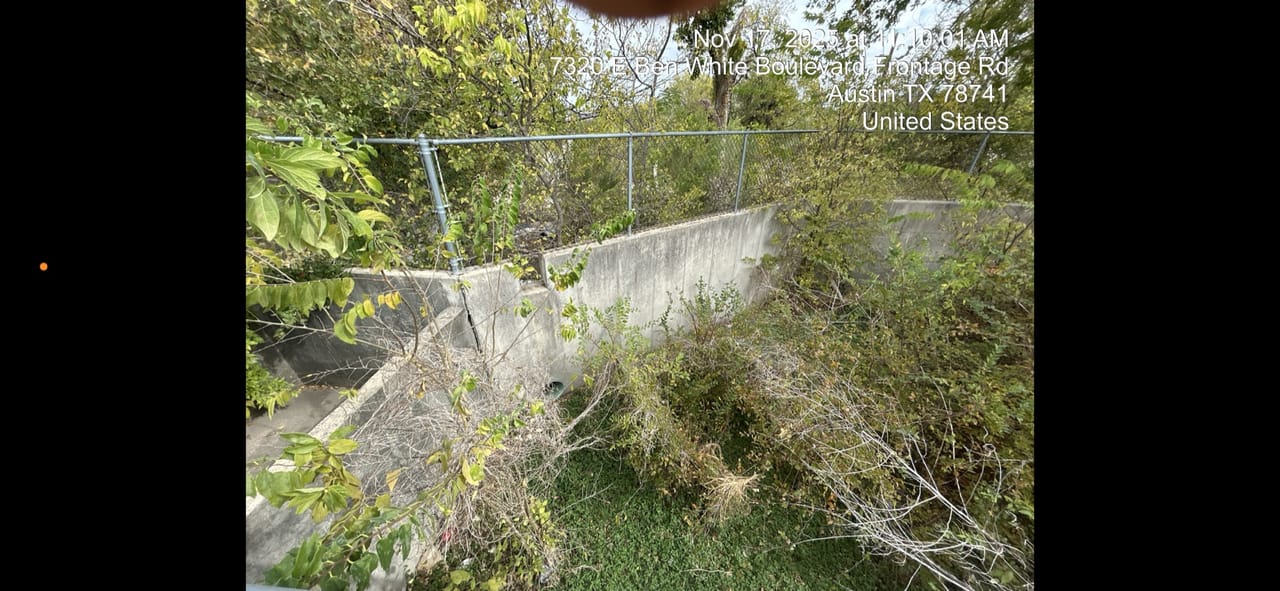 Weeds and brush growing inside a sloped concrete drainage channel in Elgin, TX