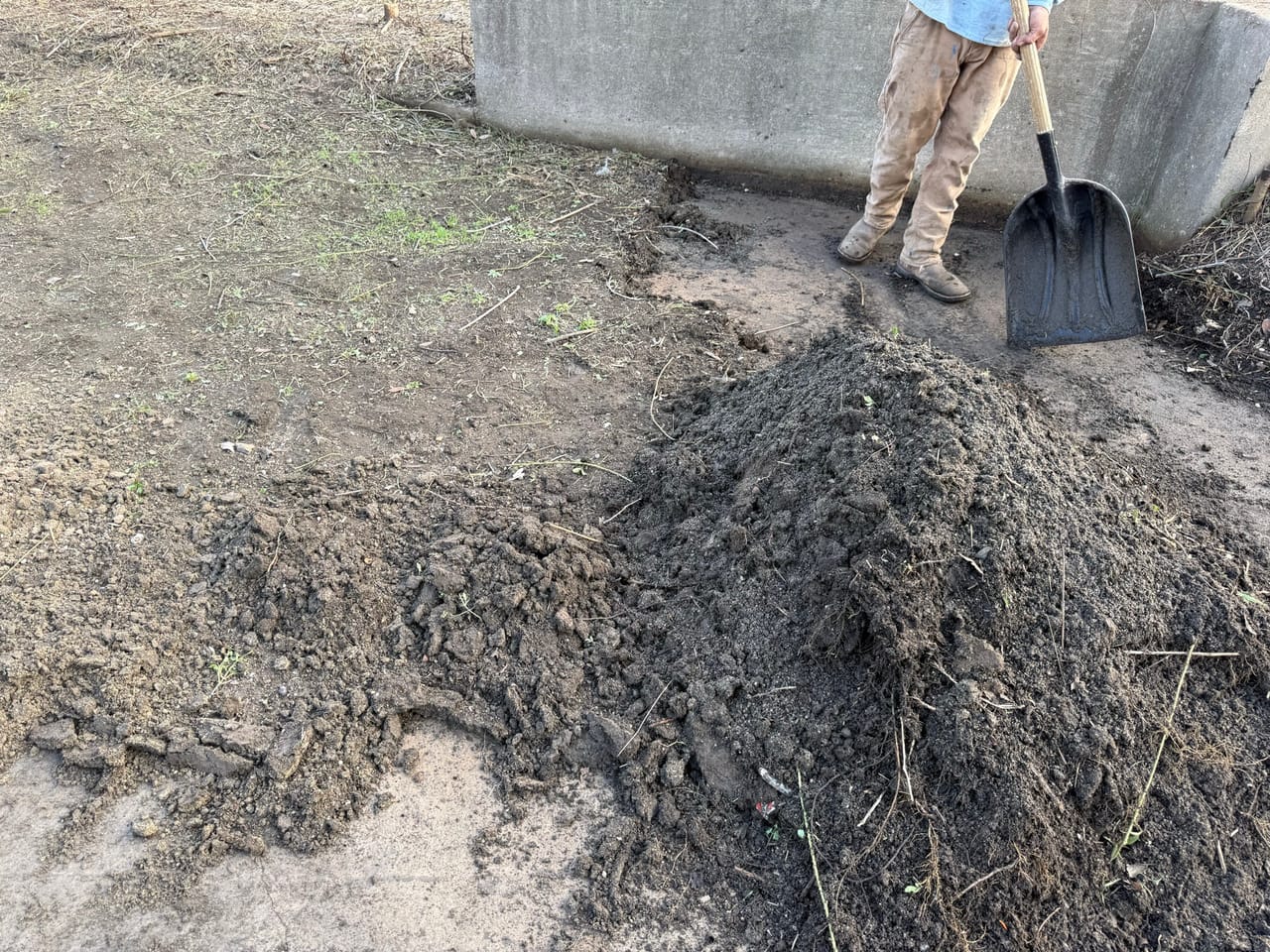Worker with shovel standing over a mound of dredged channel silt in Elgin, TX