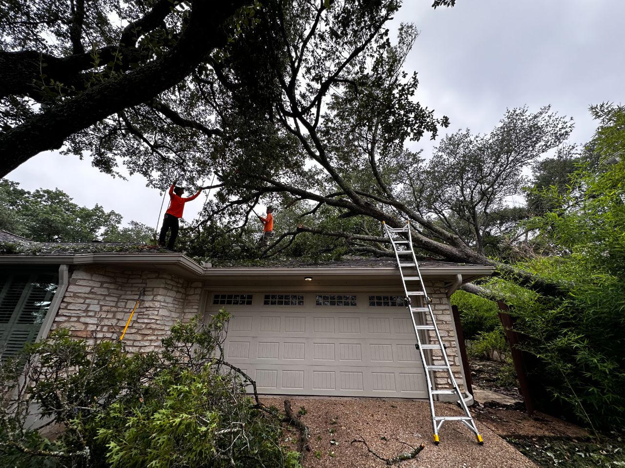 Fallen tree roof removal central texas in Cibolo, TX