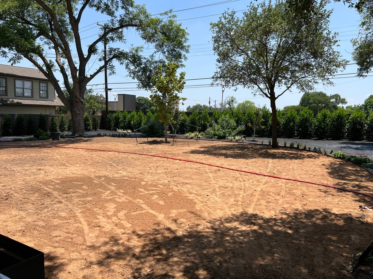 Backyard graded to decomposed granite with young trees along the fence in Buda, TX
