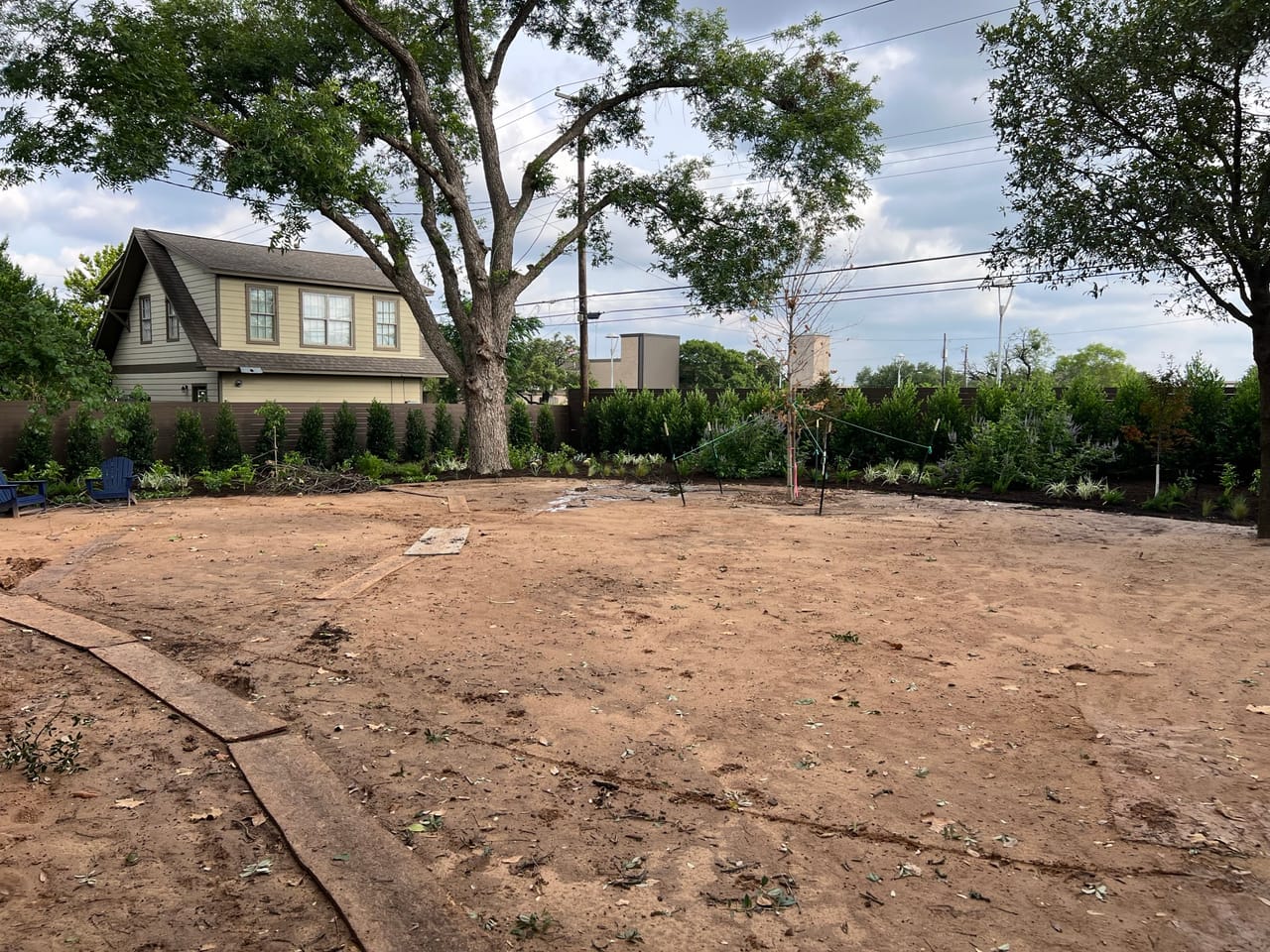 Graded bare dirt backyard with a new hedge screen along the fence in Kyle, TX