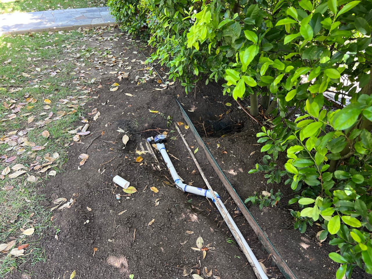 PVC irrigation lines set in a trench under trimmed shrubs in Kyle, TX