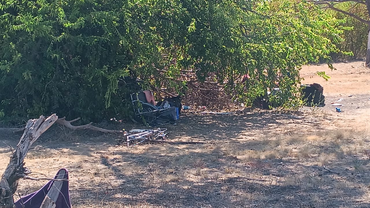 Abandoned bikes and scattered junk under overgrown trees on a lot in Pflugerville, TX