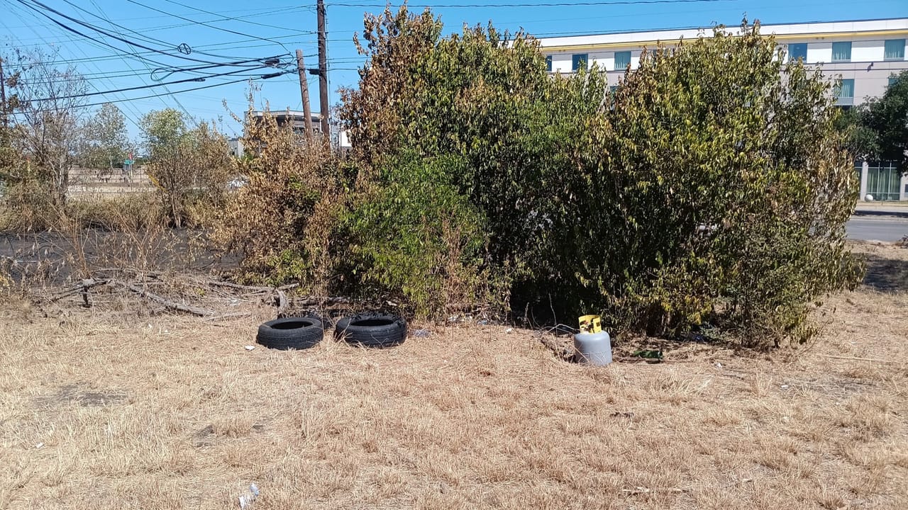 Dumped tires and a bucket sitting in weeds beside overgrown shrubs in Taylor, TX