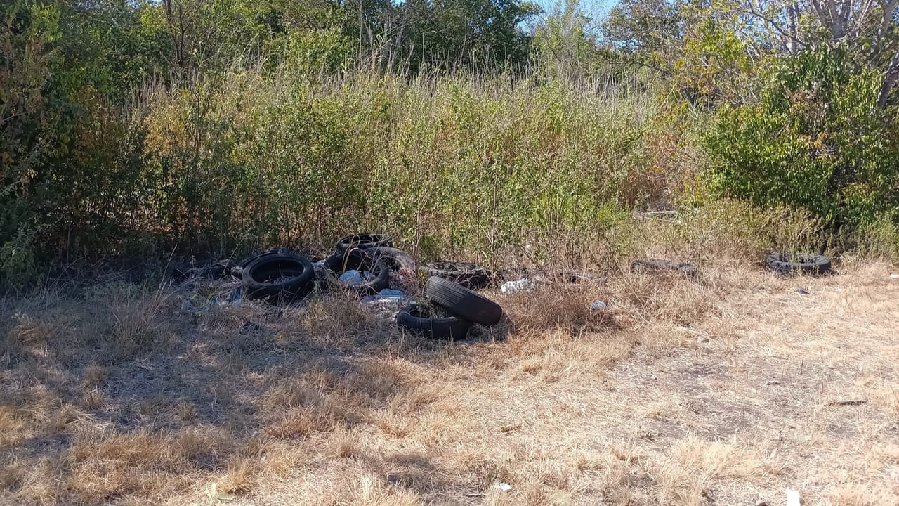 Dumped tires and scattered trash sitting in tall overgrown weeds in Kyle, TX