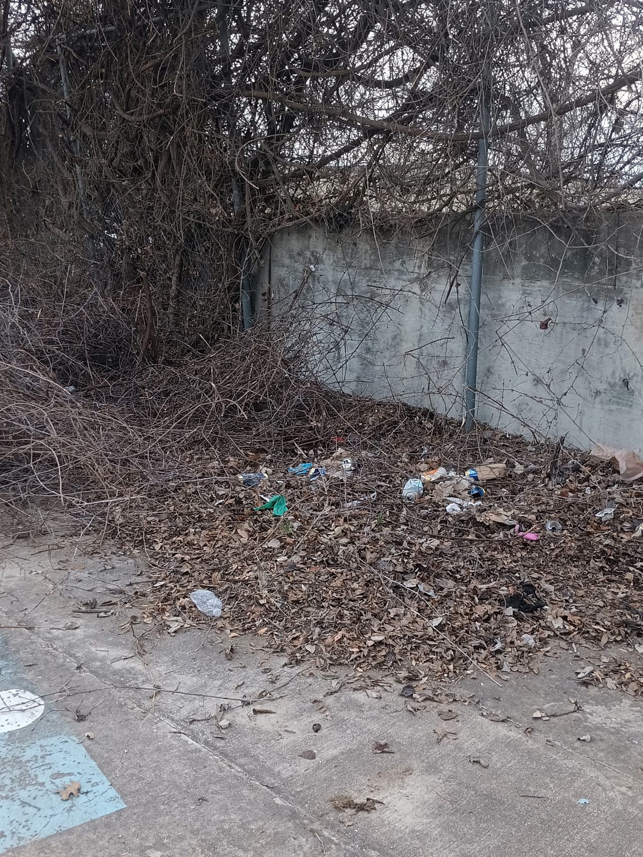 Litter and dead brush piled against a tall concrete boundary wall in Buda, TX