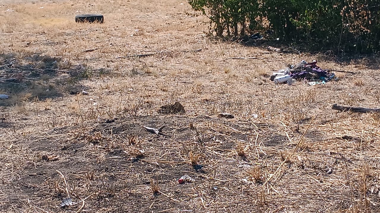 Freshly cleared brushy ground with mulch and leftover trash on dry dirt in Bastrop, TX