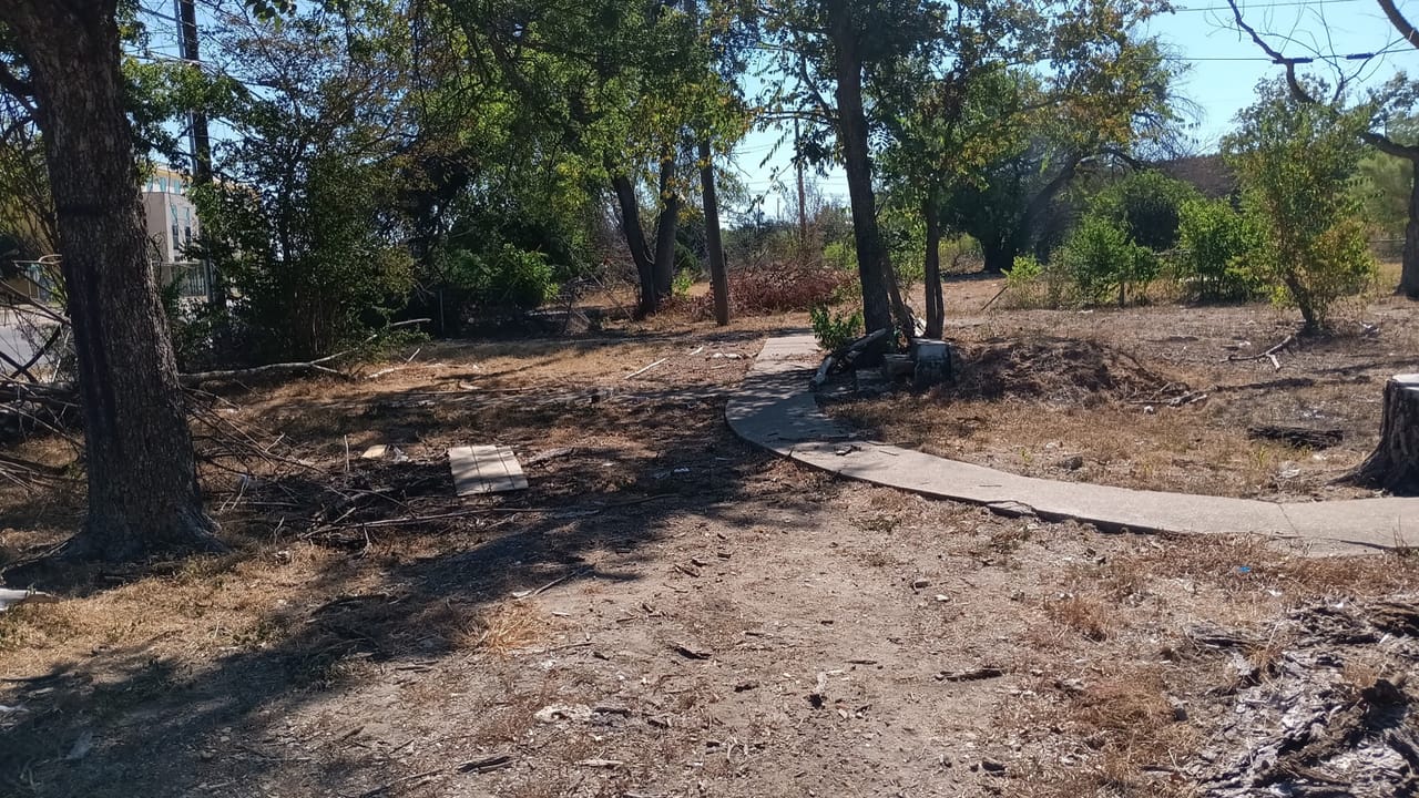 Freshly cleared dirt path cut through a stand of trees in Pflugerville, TX