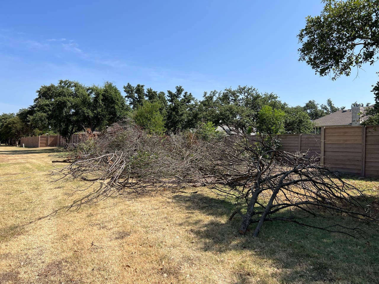 Large pile of cut limbs and brush on a dry lot in Elgin, TX