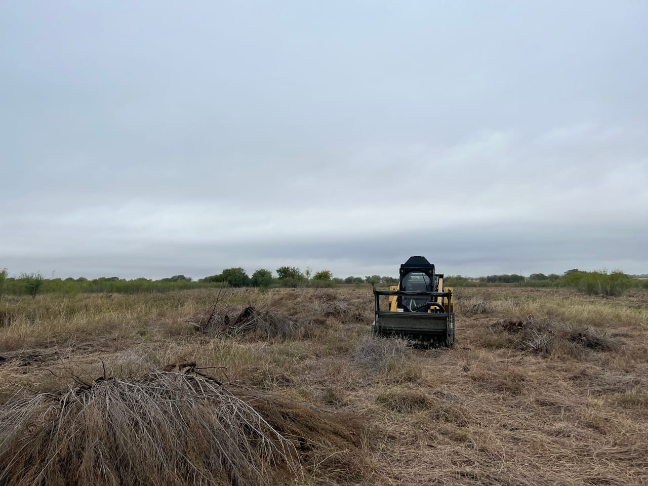 Tracked mulcher machine clearing brush across a dry field in Marble Falls, TX