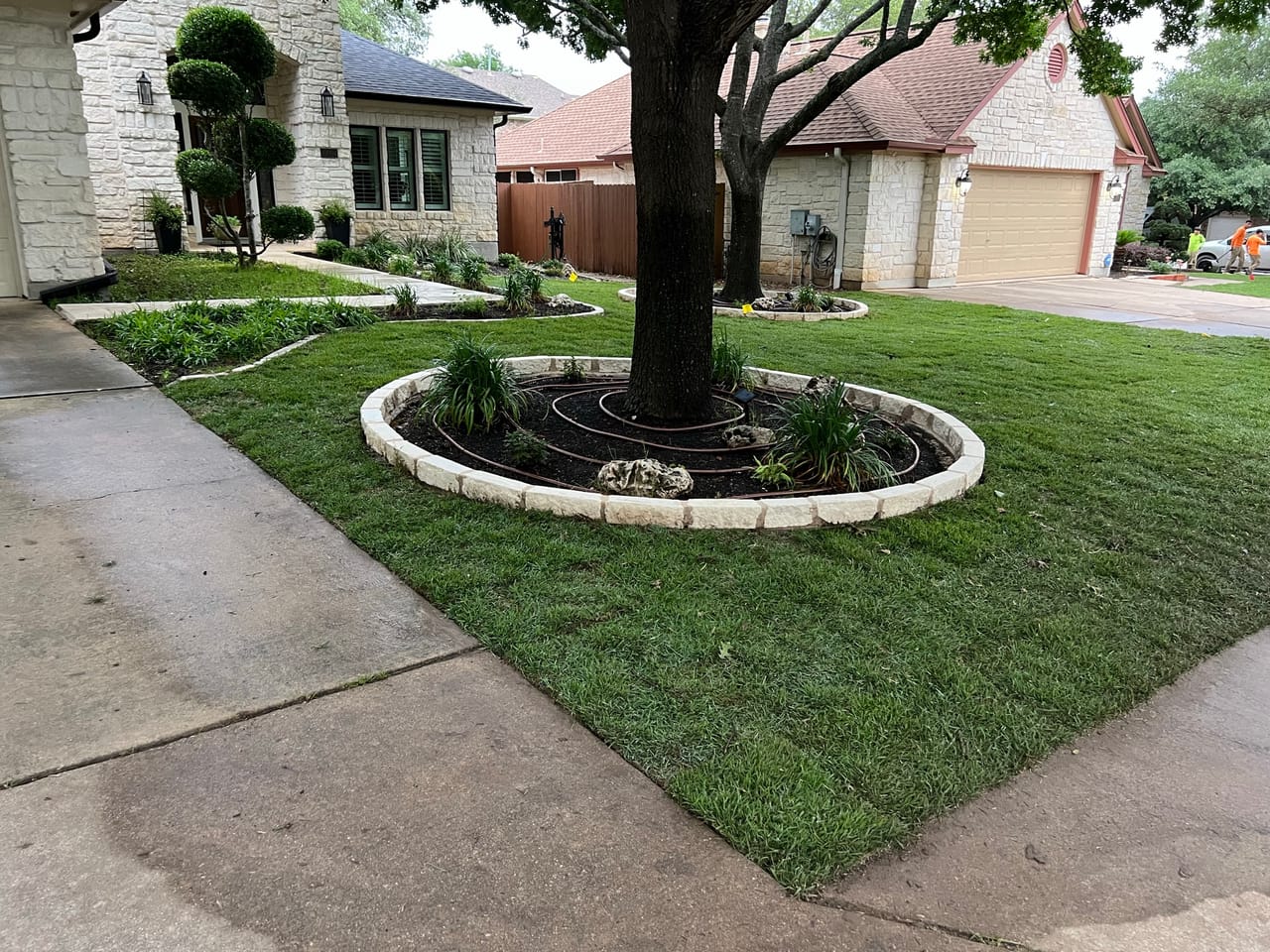 Circular limestone tree ring with fresh planting bed and manicured lawn in Buda, TX