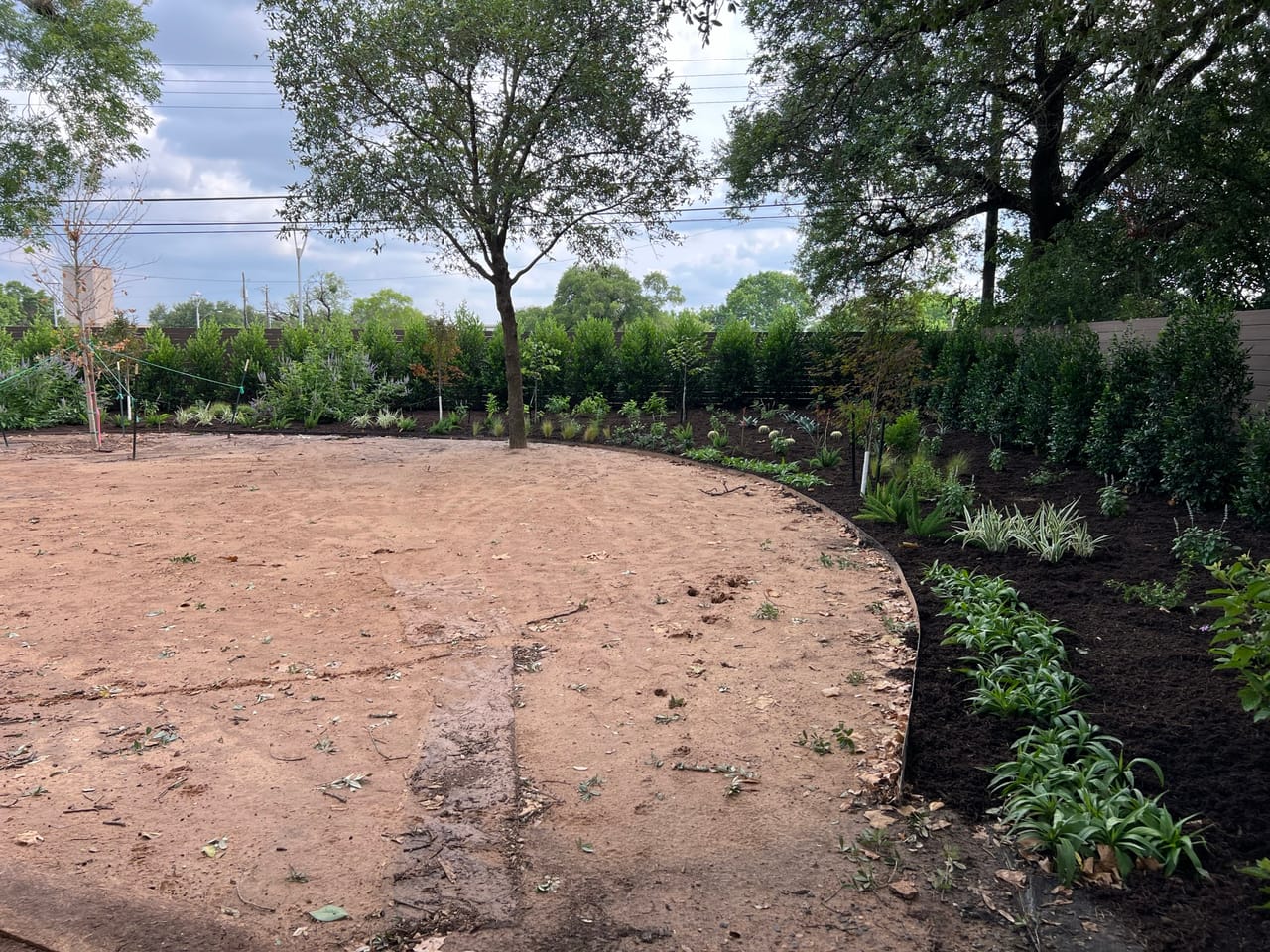 Curved planting bed and hedges edging a freshly graded dirt yard in Cedar Park, TX