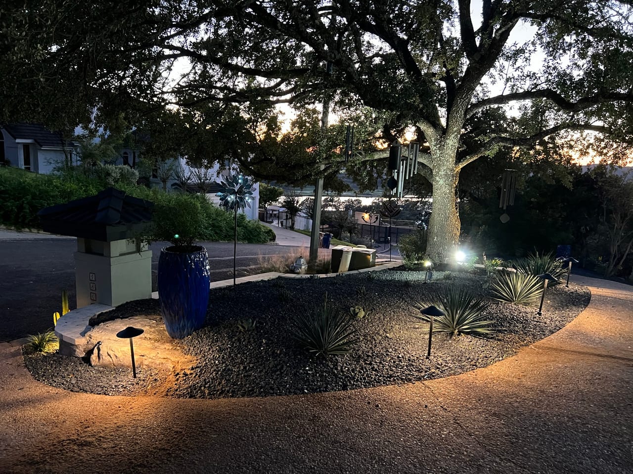 Night landscape lighting on agaves and gravel bed under a big oak in Central Texas