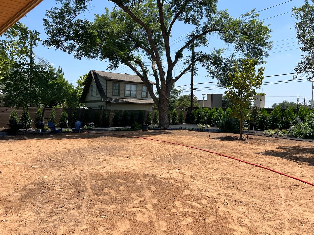 Prepped yard with new hedge screen planted along the back fence in Central Texas
