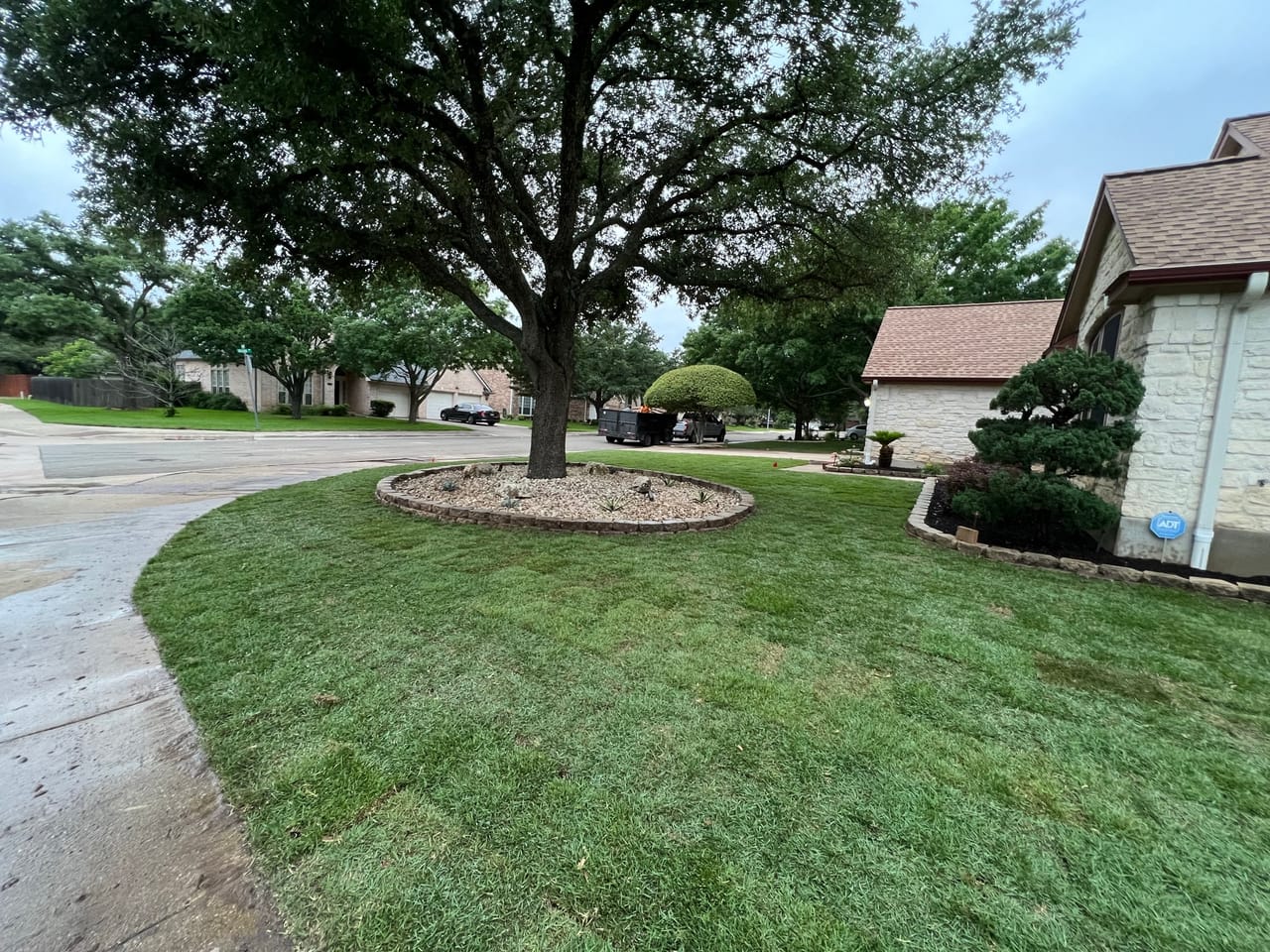 Crisp mowed front lawn with a stone edged tree ring and driveway in Georgetown, TX