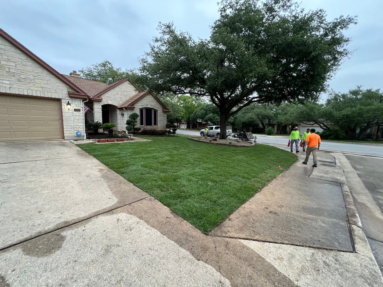 Finished front lawn with crew walking the driveway by a big oak in Round Rock, TX