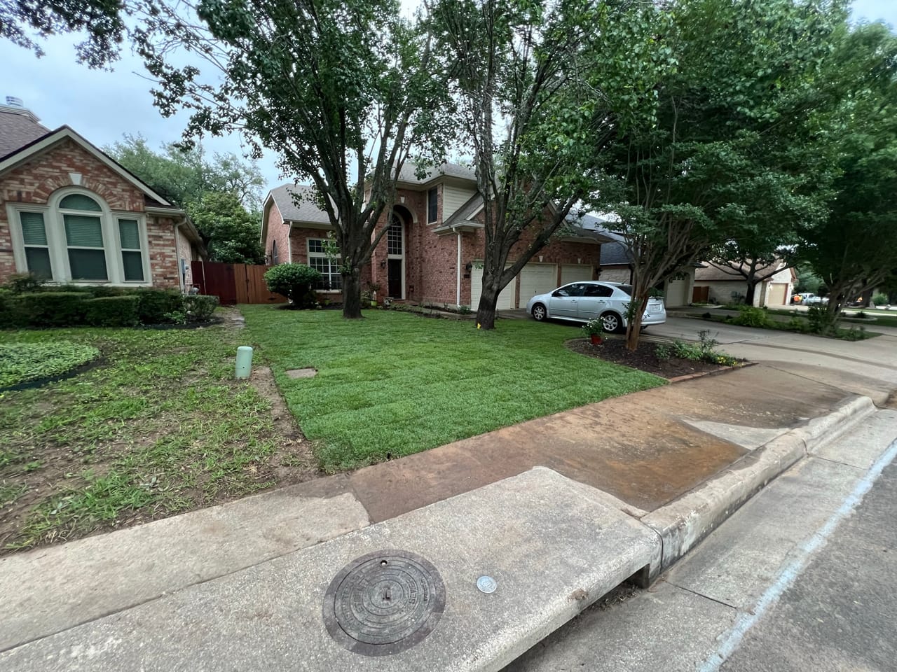 Mowed front yard with trees and sidewalk, flat overcast light in Georgetown, TX