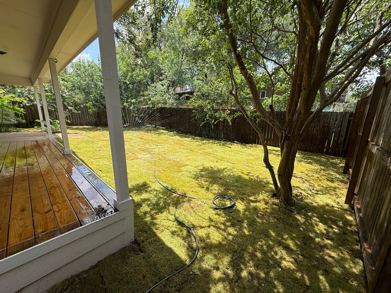 Shaded backyard lawn with mature trees viewed from the porch in Elgin, TX