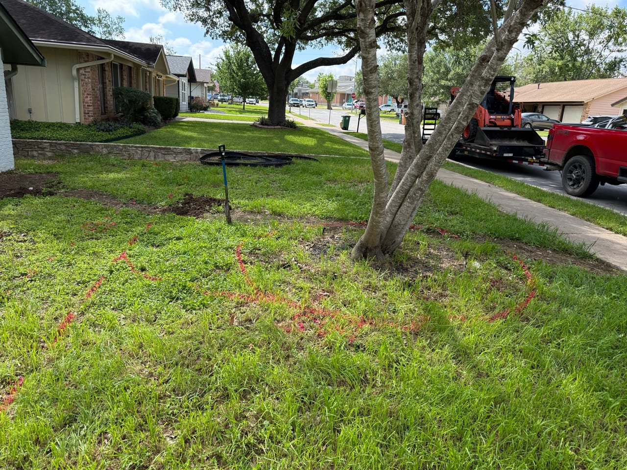 Thin front lawn under a live oak with street and trucks behind in Central Texas