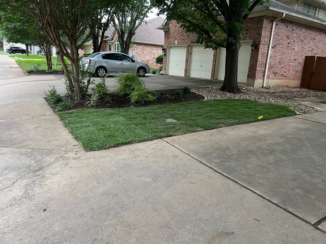 Trimmed front yard with shade trees and driveway at a brick home in Buda, TX