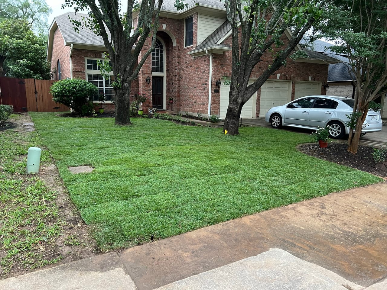 Freshly mowed striped front lawn under mature shade trees in Leander, TX