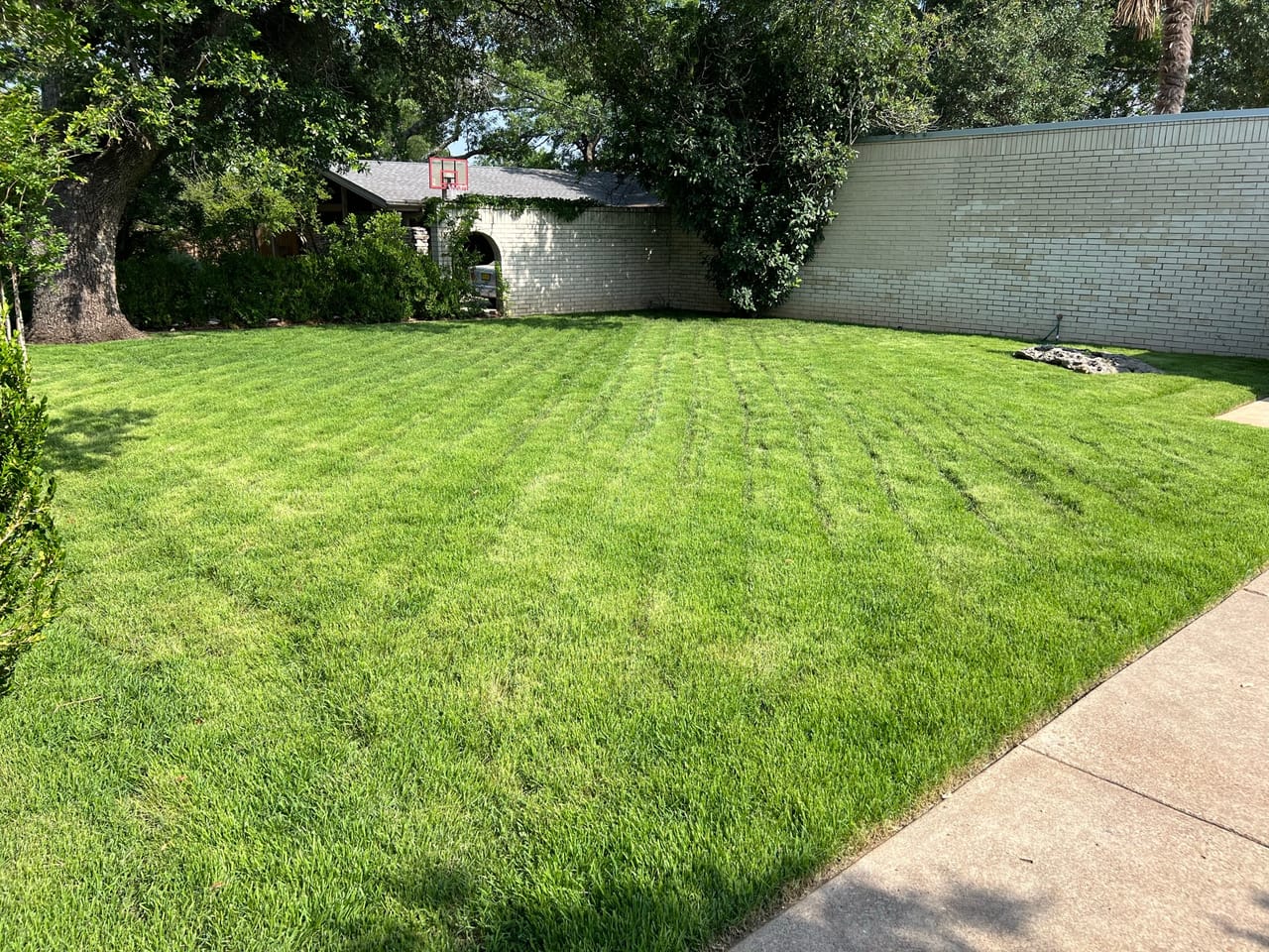 Freshly striped green lawn framed by a white stucco wall in Pflugerville, TX