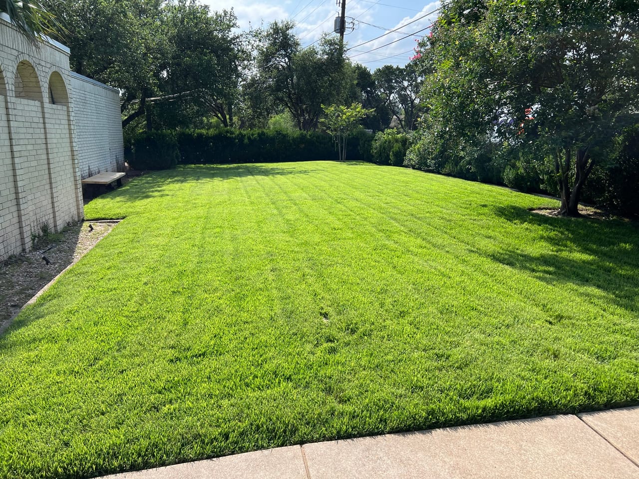 Lush mow striped backyard lawn in front of an arched garden wall in Central Texas