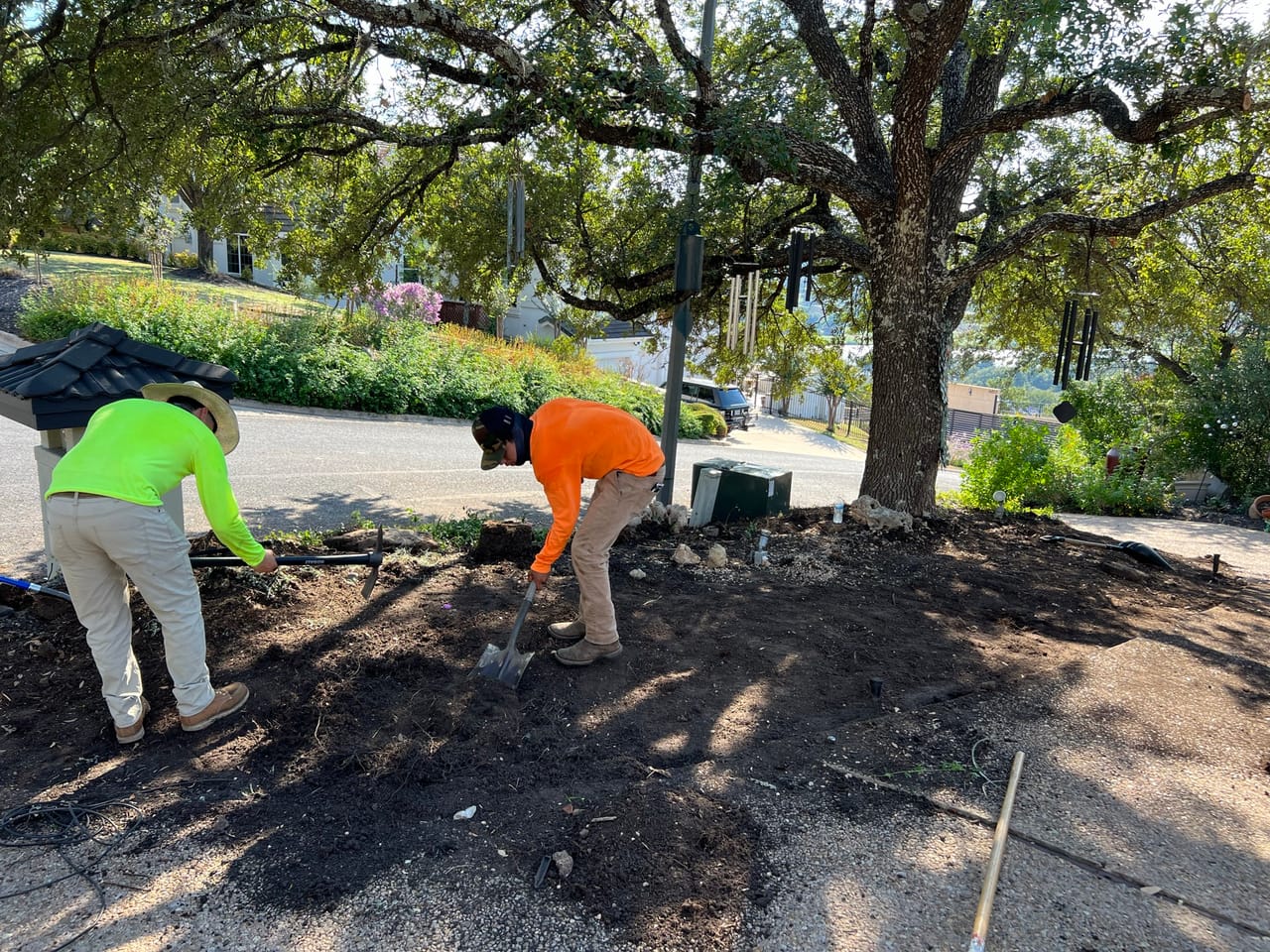 Two workers raking fresh mulch around trees in a median bed by Corral Bros in Central Texas