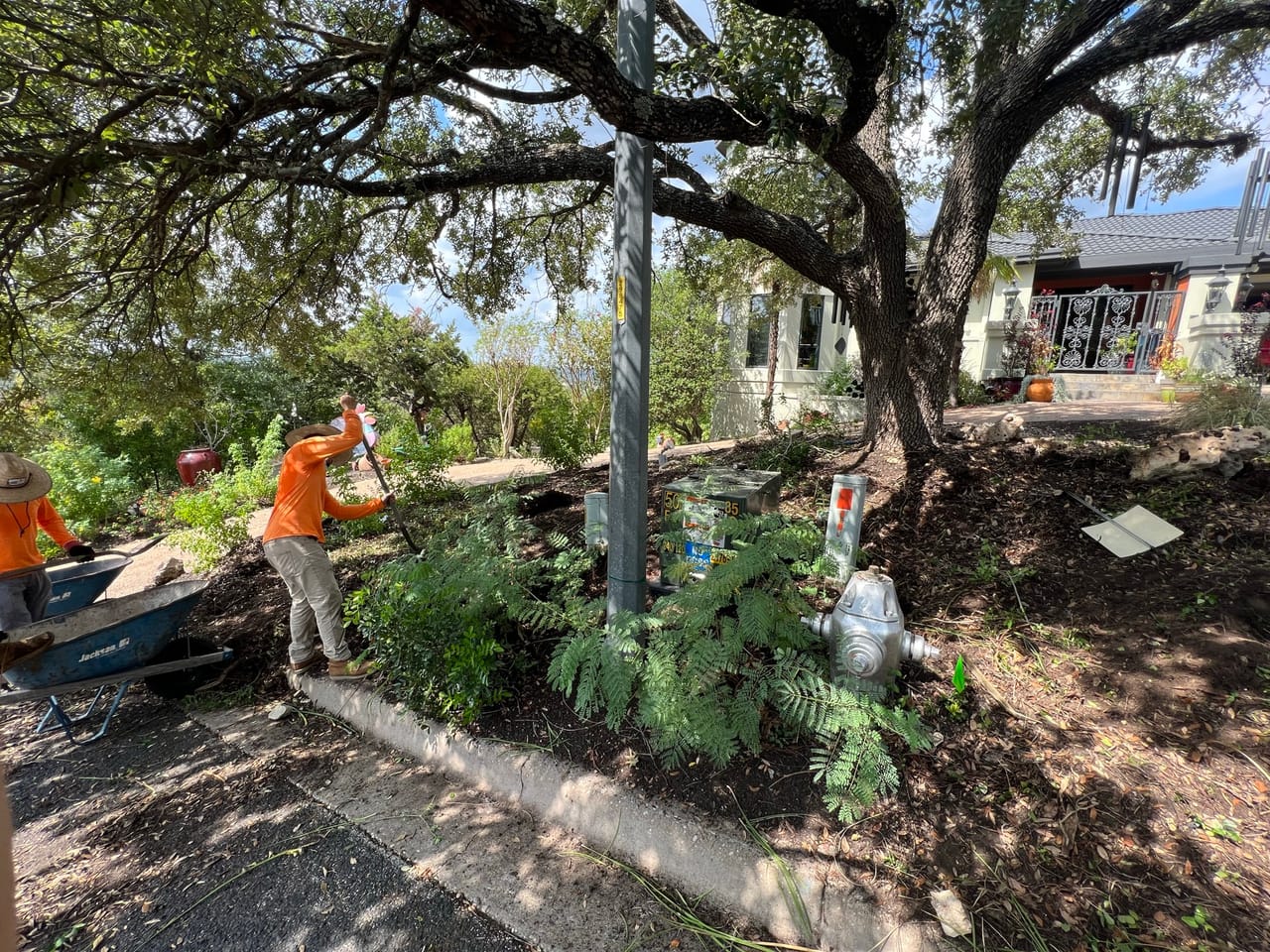 Worker hauling mulch by wheelbarrow into a planted roadside median bed by Corral Bros in Central Texas
