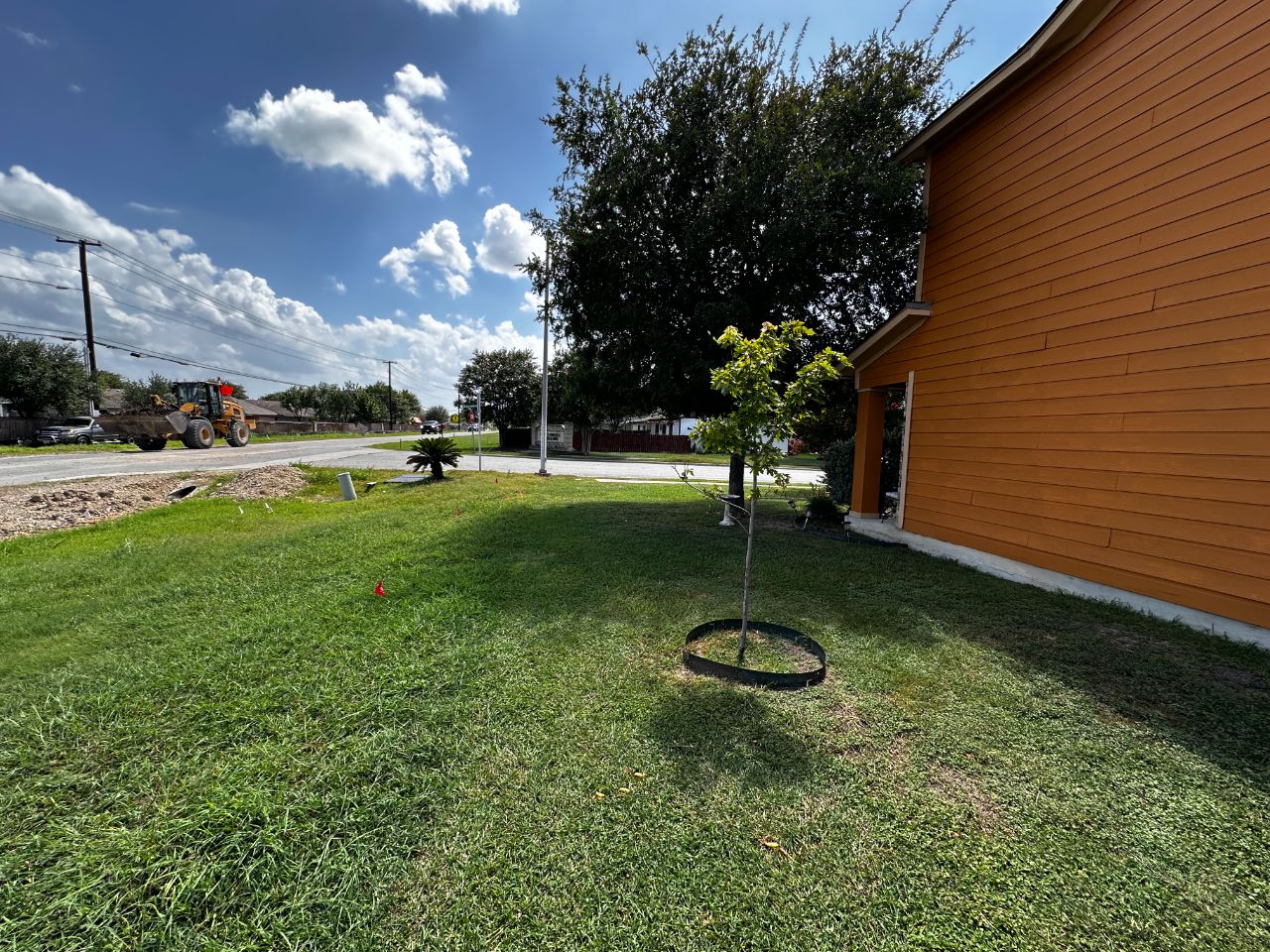 Plant and tree installation in Central Texas