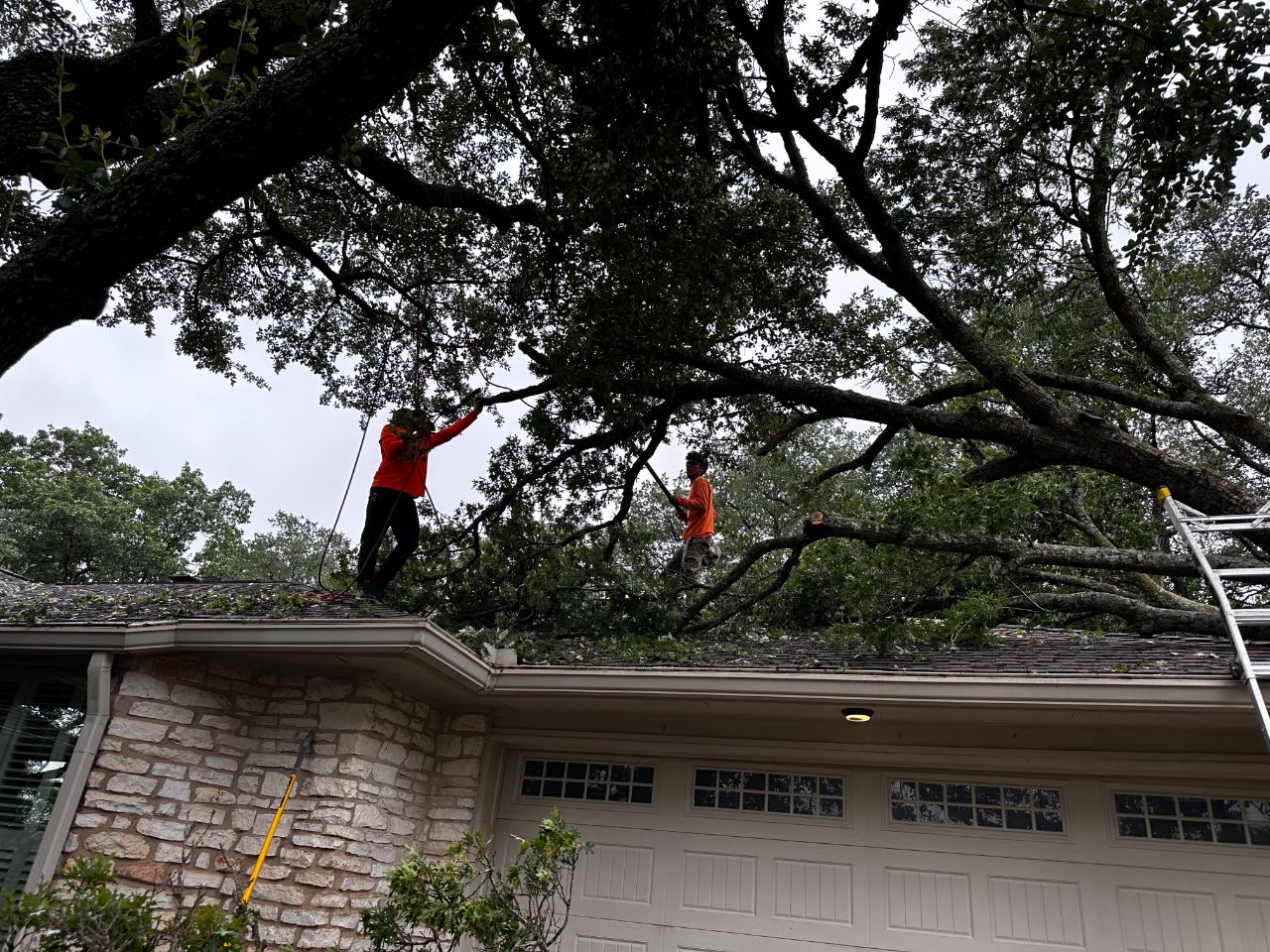 Oak tree removal over a garage in Austin, Texas