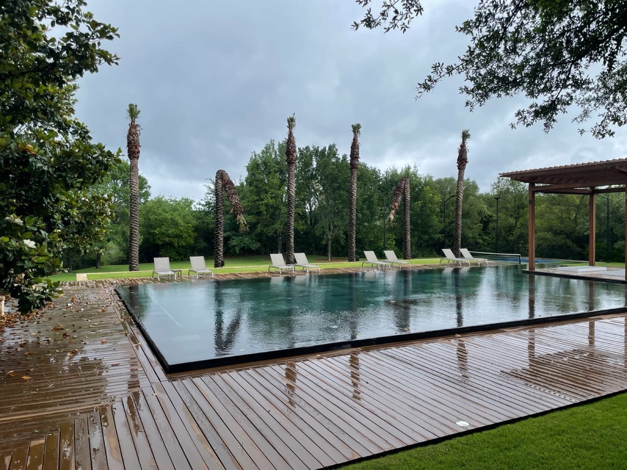 Dark infinity pool with lounge chairs and palm trees behind in Maxwell, TX