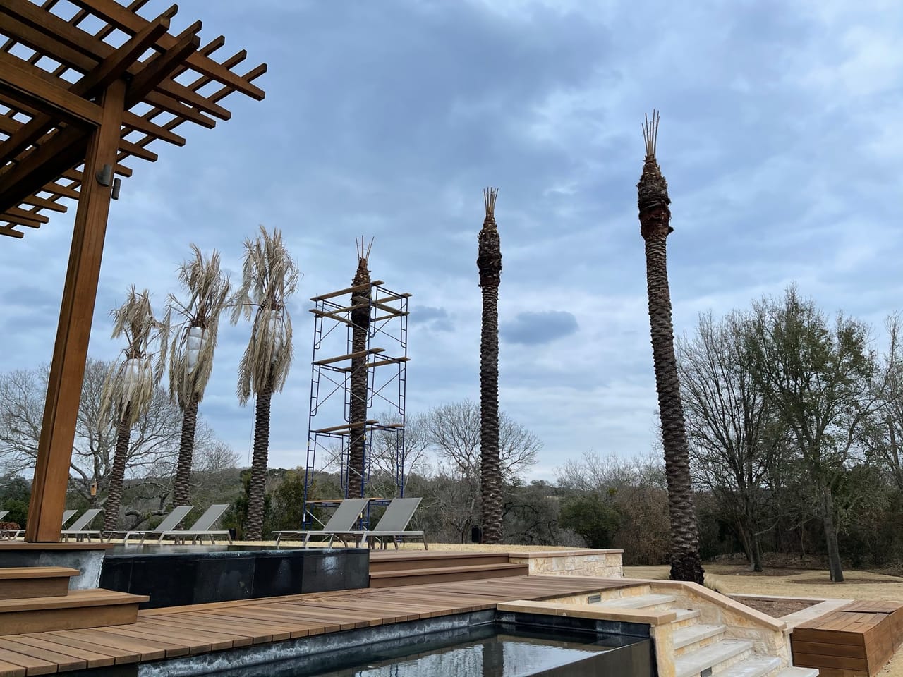 Pool and pergola under construction with wrapped palm trees in Kyle, TX
