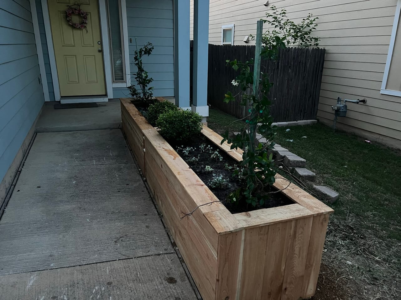 Cedar raised beds planted with shrubs at a blue home entry in Austin, TX