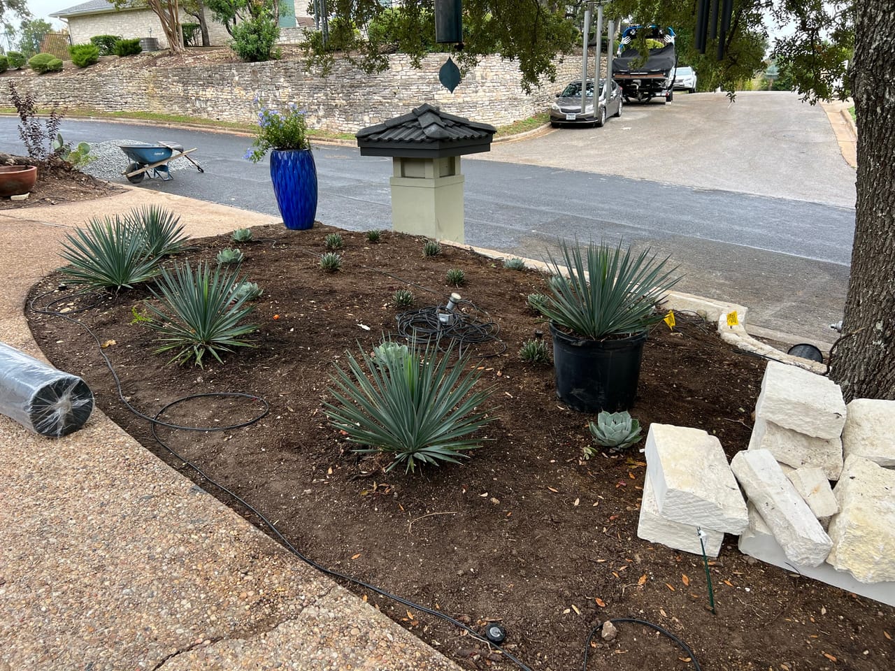 Finished bed with agaves and limestone blocks beside a stone wall in Elgin, TX