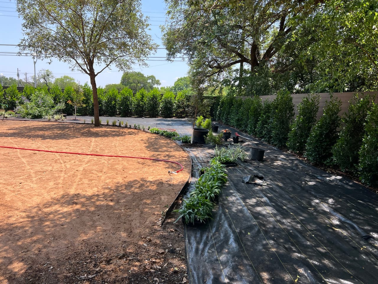 Fresh hedge row and new plants staged over decomposed granite yard by Corral Bros in Central Texas
