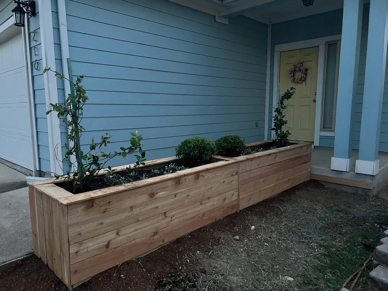 Long cedar planter full of new shrubs across a blue porch in Leander, TX