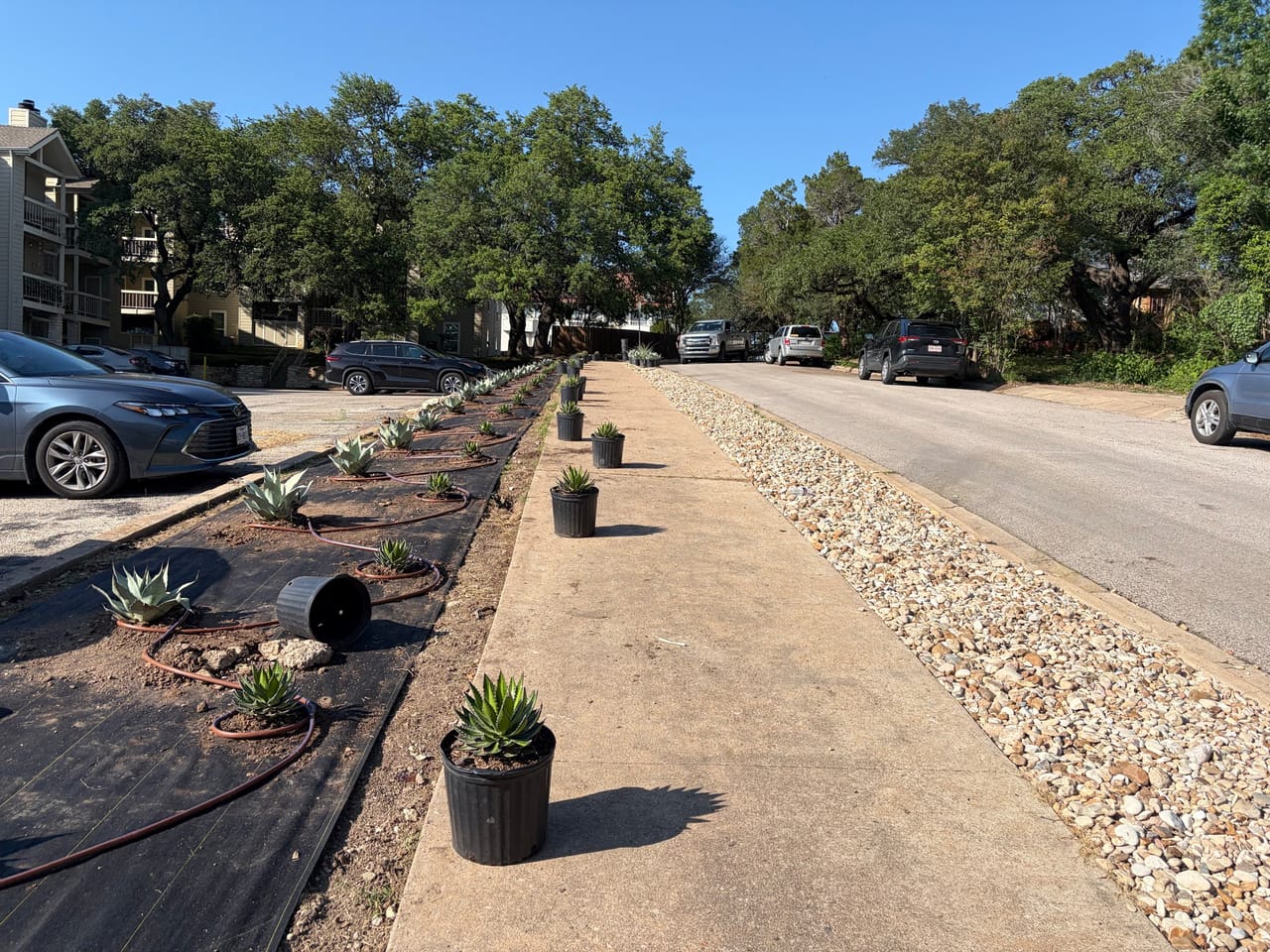 Long curbside bed lined with potted plants awaiting install by Corral Bros in Central Texas