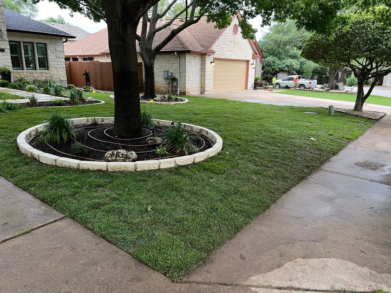 New ornamental grasses in a stone bordered tree ring, tidy front lawn by Corral Bros in Central Texas