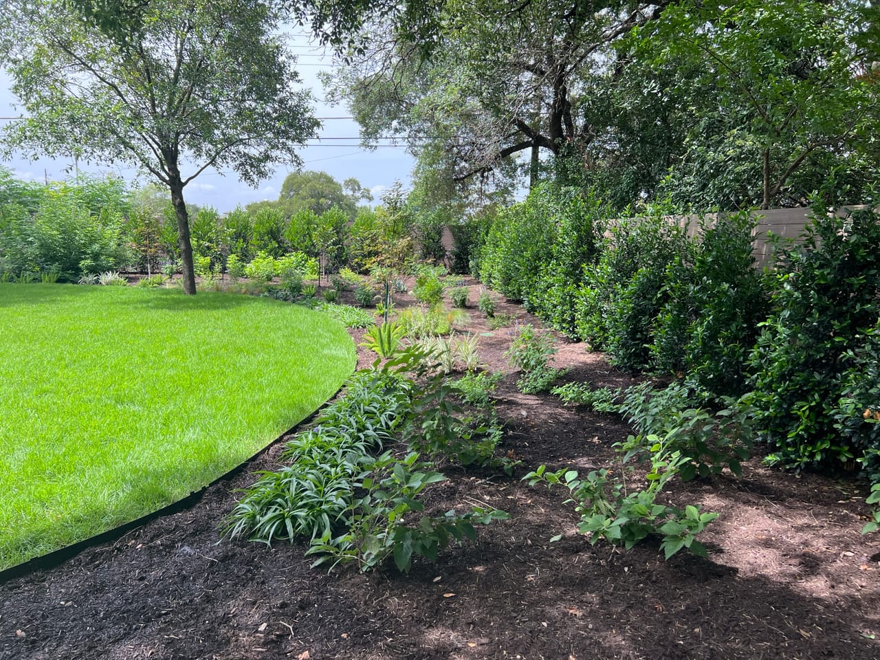 New planting bed with shrubs and stone path beside a lawn in Bastrop, TX
