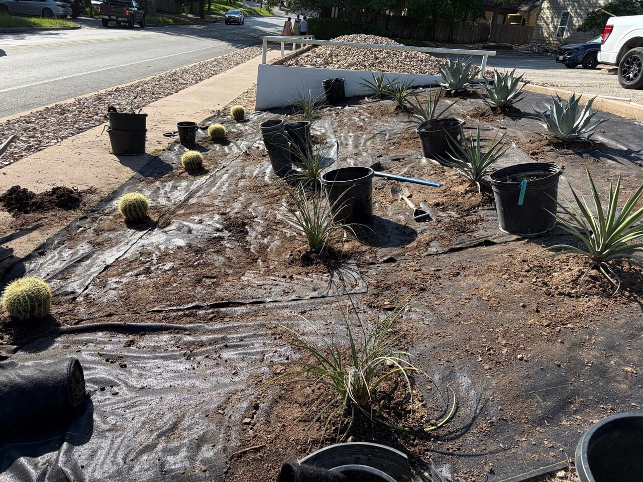 Prepped roadside bed with potted agave and cactus staged for planting by Corral Bros in Central Texas