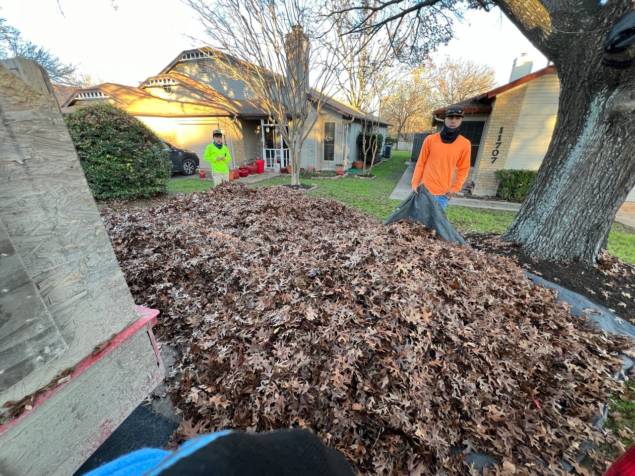 Huge pile of raked leaves in a front yard with crew in Round Rock, TX