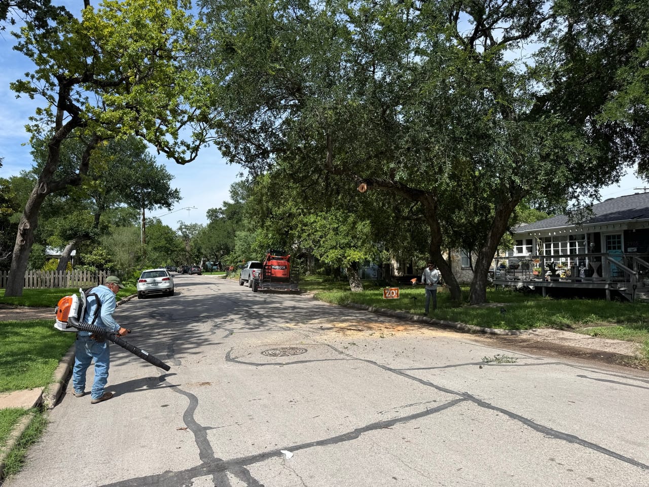 Worker blowing tree debris off a street under mature live oaks in Central Texas